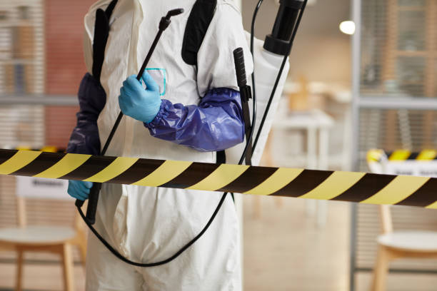 Professional Sewage Cleanup technician working in Baltic, CT
